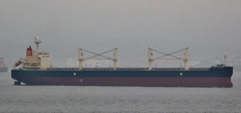 TTM PHOENIX Bulk Carrier IMO 9478573 photo 10