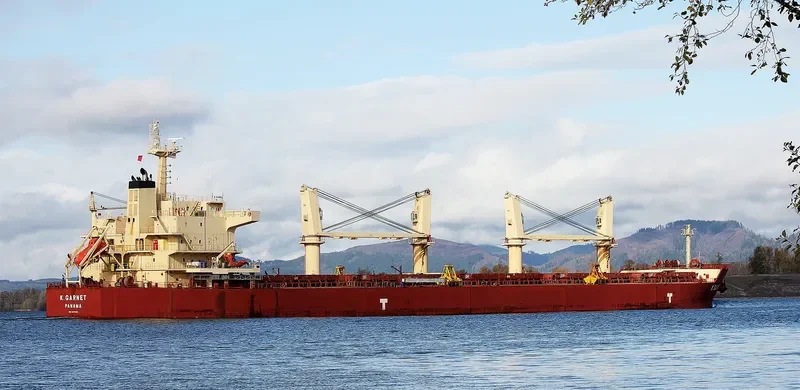KEY OHANA Bulk Carrier IMO 9478585
