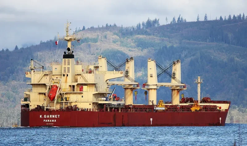 KEY OHANA Bulk Carrier IMO 9478585 photo 2
