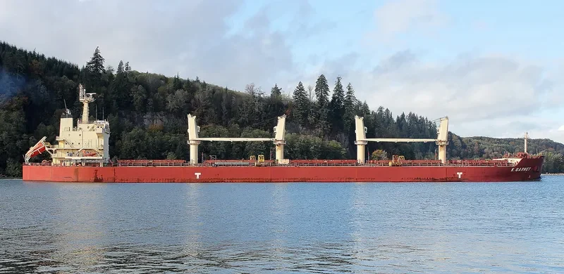 KEY OHANA Bulk Carrier IMO 9478585 photo 3