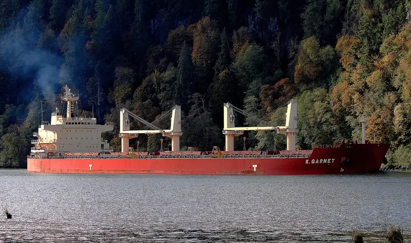 KEY OHANA Bulk Carrier IMO 9478585 photo 5