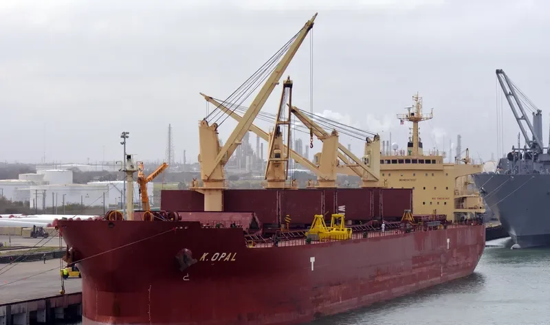 CARINA Bulk Carrier IMO 9478597