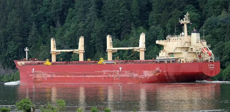 CARINA Bulk Carrier IMO 9478597 photo 2