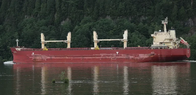 CARINA Bulk Carrier IMO 9478597 photo 3