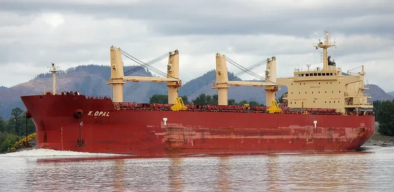 CARINA Bulk Carrier IMO 9478597 photo 4