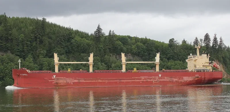 CARINA Bulk Carrier IMO 9478597 photo 5