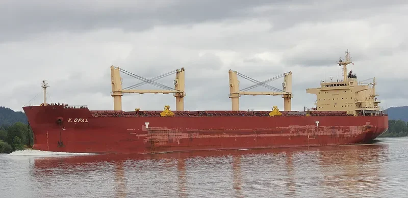 CARINA Bulk Carrier IMO 9478597 photo 6
