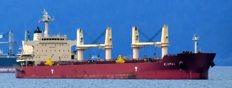CARINA Bulk Carrier IMO 9478597 photo 7