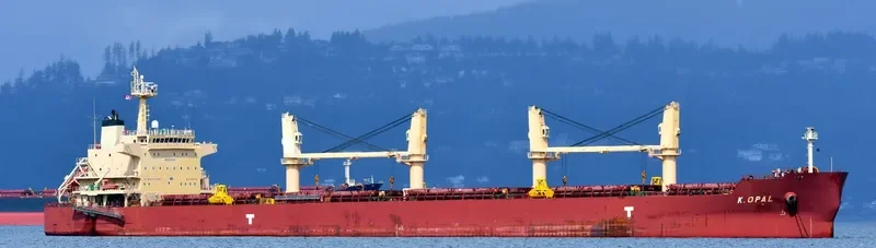 CARINA Bulk Carrier IMO 9478597 photo 8