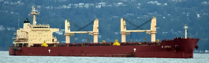 CARINA Bulk Carrier IMO 9478597 photo 9