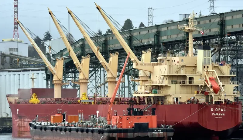 CARINA Bulk Carrier IMO 9478597 photo 10