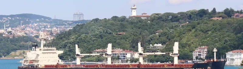 CRESTED EAGLE Bulk Carrier IMO 9478626