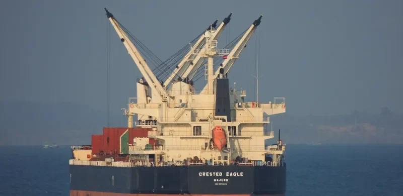 CRESTED EAGLE Bulk Carrier IMO 9478626 photo 3