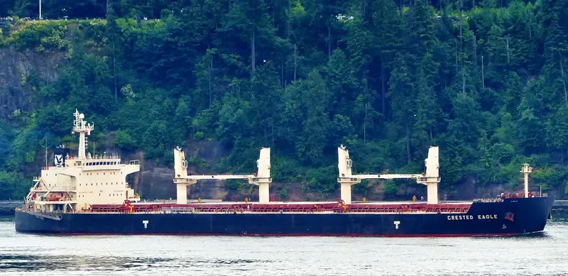 CRESTED EAGLE Bulk Carrier IMO 9478626 photo 4