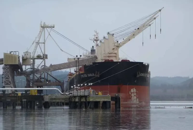 CRESTED EAGLE Bulk Carrier IMO 9478626 photo 5