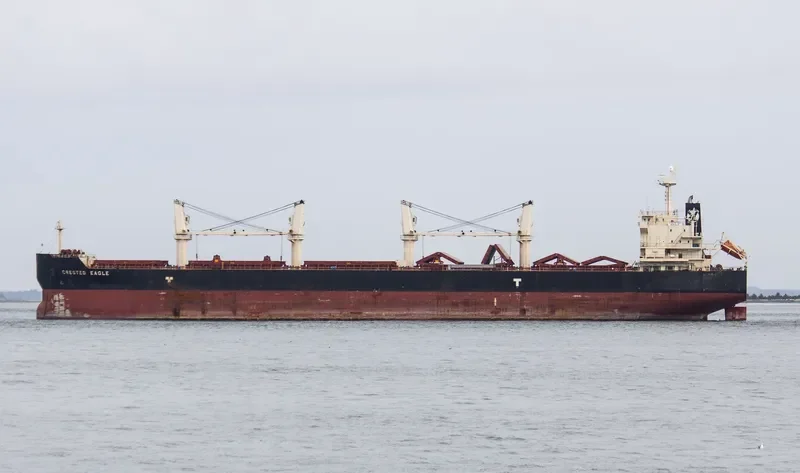 CRESTED EAGLE Bulk Carrier IMO 9478626 photo 6