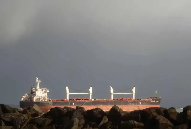 CRESTED EAGLE Bulk Carrier IMO 9478626 photo 8