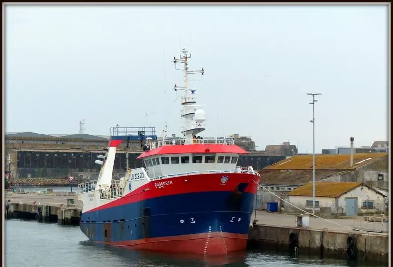ROSSOREN General Cargo IMO 9478731 photo 8