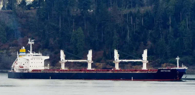 ANTOINE Bulk Carrier IMO 9478755 photo 4