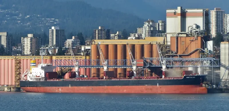 ANTOINE Bulk Carrier IMO 9478755 photo 6