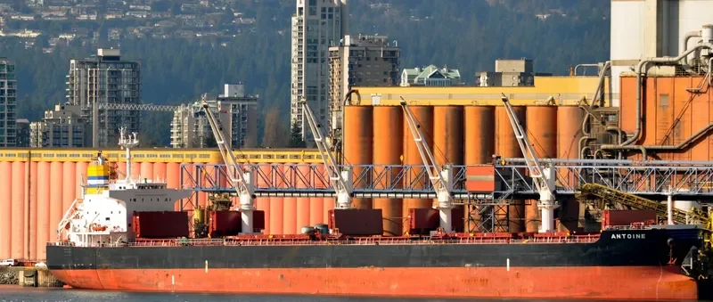 ANTOINE Bulk Carrier IMO 9478755 photo 7