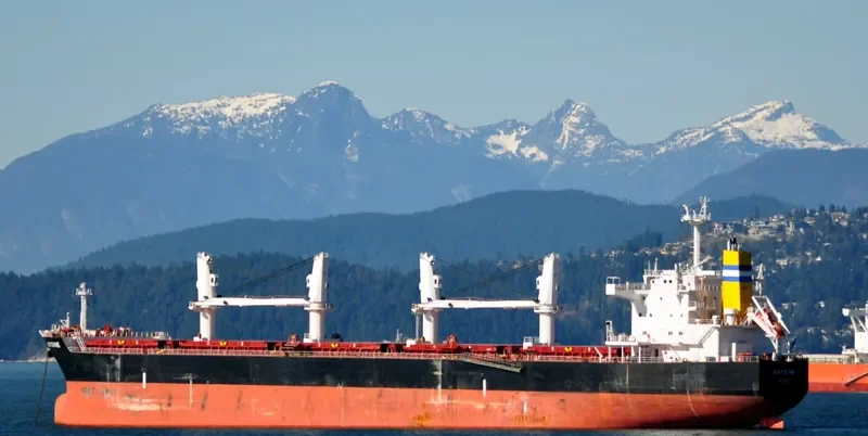 ANTOINE Bulk Carrier IMO 9478755 photo 8