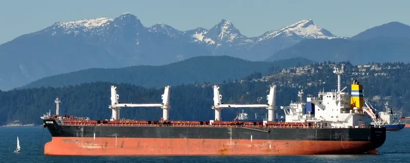 ANTOINE Bulk Carrier IMO 9478755 photo 9