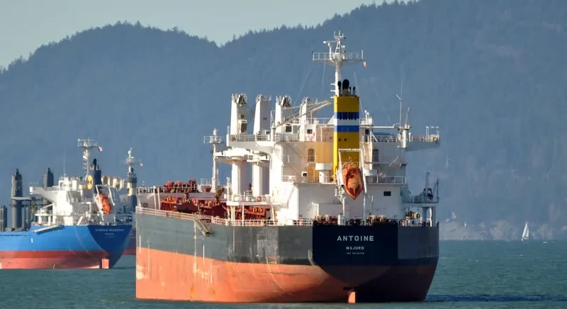 ANTOINE Bulk Carrier IMO 9478755 photo 10