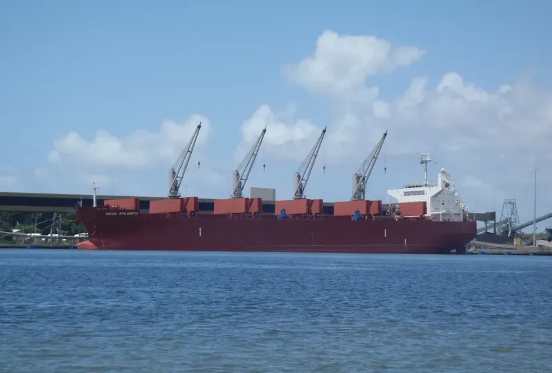 CAPT EUGENE Bulk Carrier IMO 9478767 photo 2
