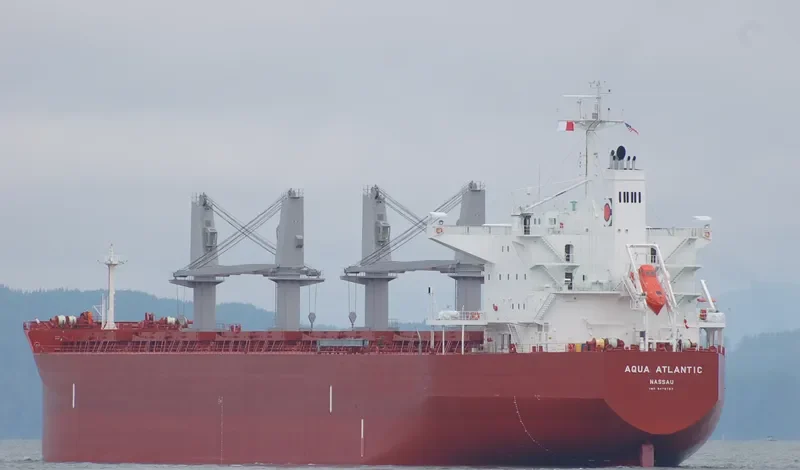 CAPT EUGENE Bulk Carrier IMO 9478767 photo 3