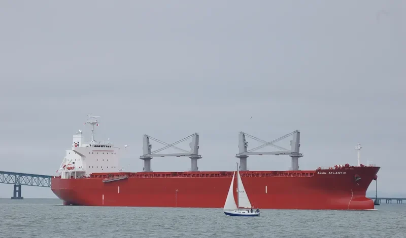 CAPT EUGENE Bulk Carrier IMO 9478767 photo 4