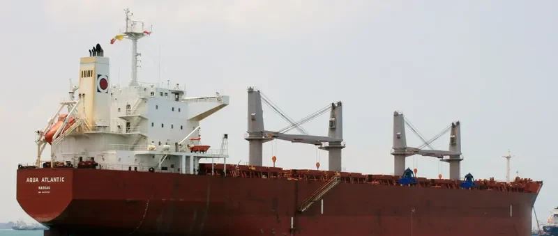 CAPT EUGENE Bulk Carrier IMO 9478767 photo 9