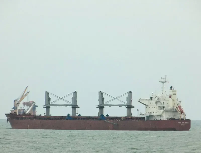 CAPT EUGENE Bulk Carrier IMO 9478767 photo 10
