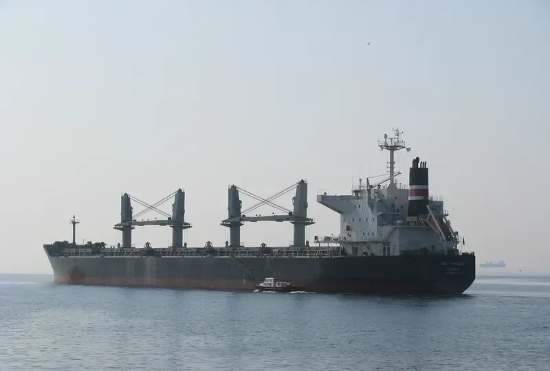 STILIANOS K Bulk Carrier IMO 9478779 photo 2