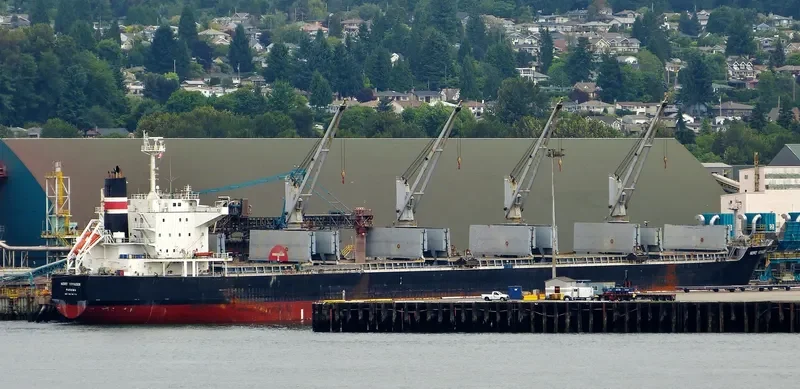 STILIANOS K Bulk Carrier IMO 9478779 photo 6