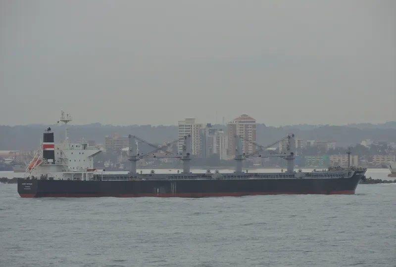 STILIANOS K Bulk Carrier IMO 9478779 photo 7