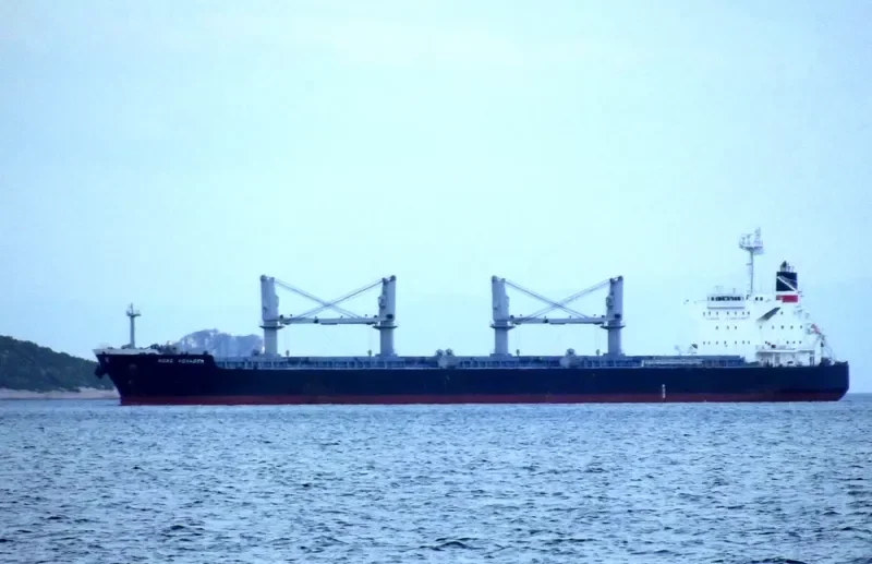 STILIANOS K Bulk Carrier IMO 9478779 photo 8