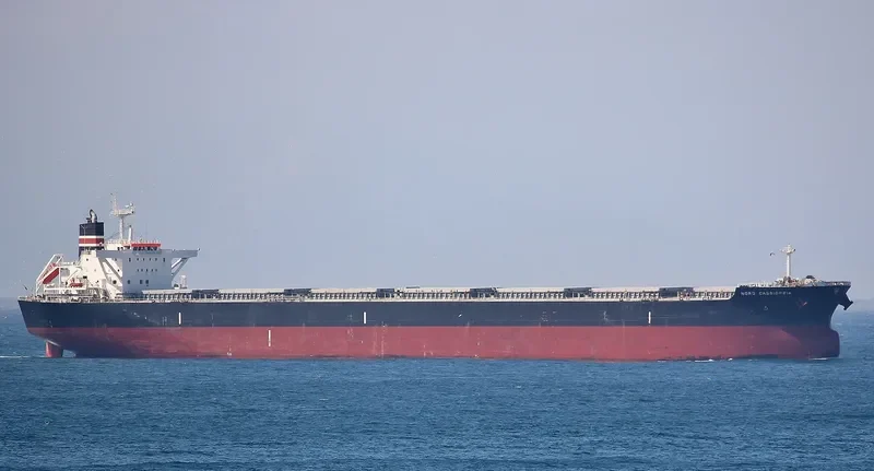 BABY CASSIOPEIA Bulk Carrier IMO 9478846