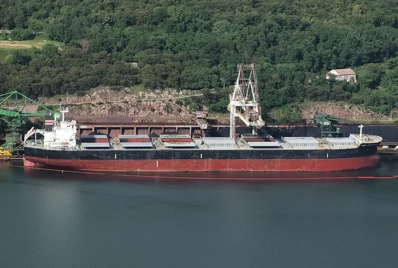 BABY CASSIOPEIA Bulk Carrier IMO 9478846 photo 2