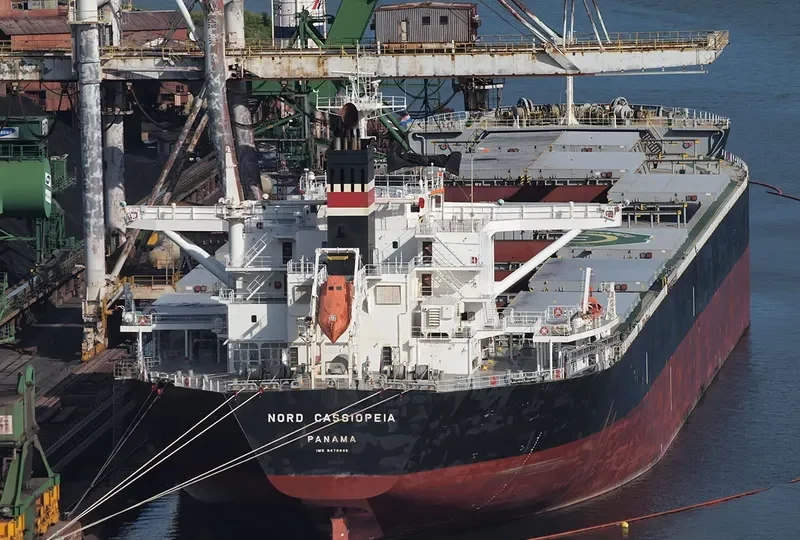 BABY CASSIOPEIA Bulk Carrier IMO 9478846 photo 3