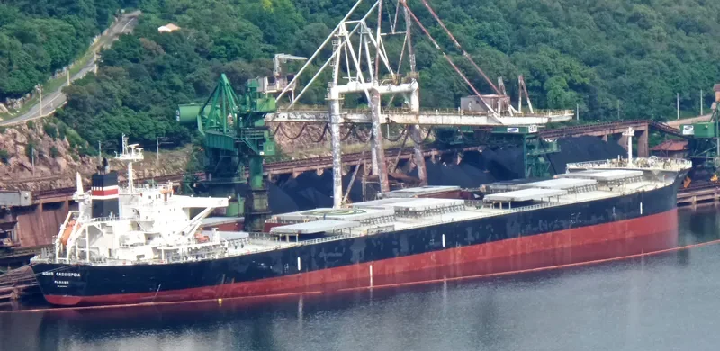 BABY CASSIOPEIA Bulk Carrier IMO 9478846 photo 5