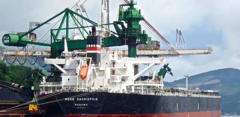 BABY CASSIOPEIA Bulk Carrier IMO 9478846 photo 7