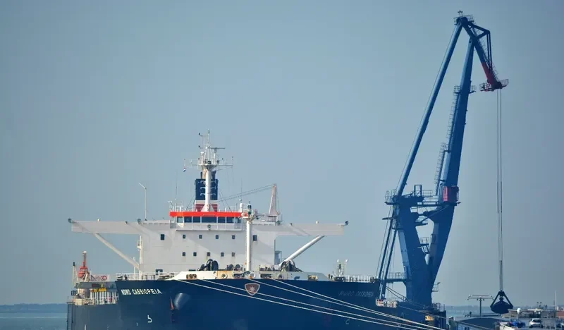 BABY CASSIOPEIA Bulk Carrier IMO 9478846 photo 10
