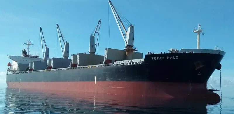 SOPHIA K Bulk Carrier IMO 9478858