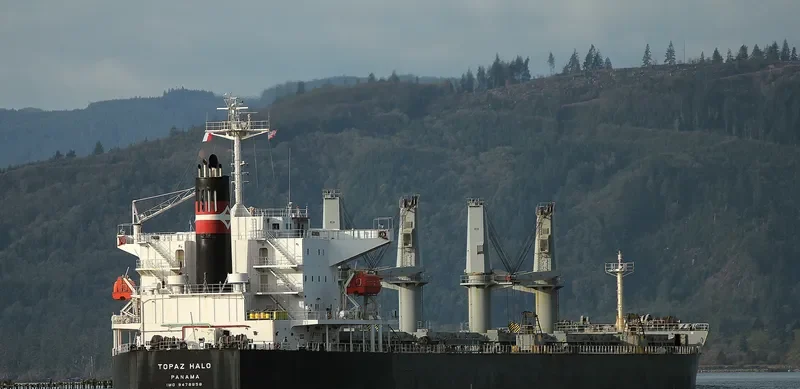 SOPHIA K Bulk Carrier IMO 9478858 photo 2