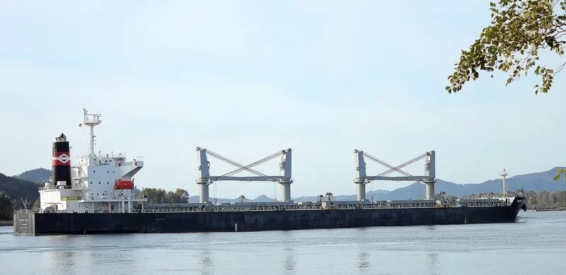 SOPHIA K Bulk Carrier IMO 9478858 photo 3