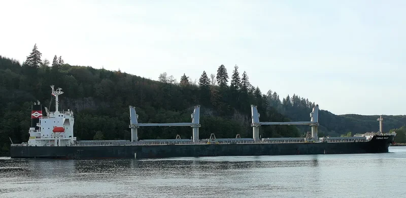 SOPHIA K Bulk Carrier IMO 9478858 photo 4