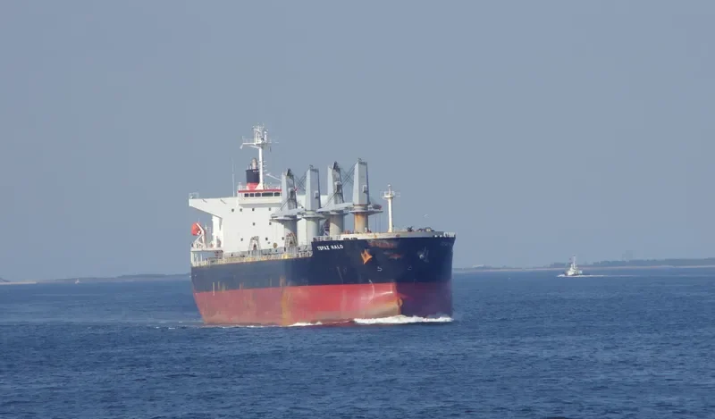 SOPHIA K Bulk Carrier IMO 9478858 photo 6