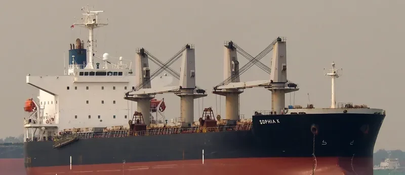 SOPHIA K Bulk Carrier IMO 9478858 photo 8