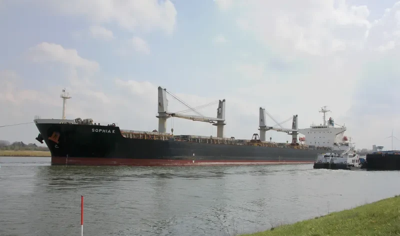 SOPHIA K Bulk Carrier IMO 9478858 photo 10